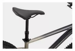 MTB Semi Rígida Cannondale Trail SE 1 29'' Gris / Beige 2021 -MTB vender 18291345f92b9ba567927.54376379